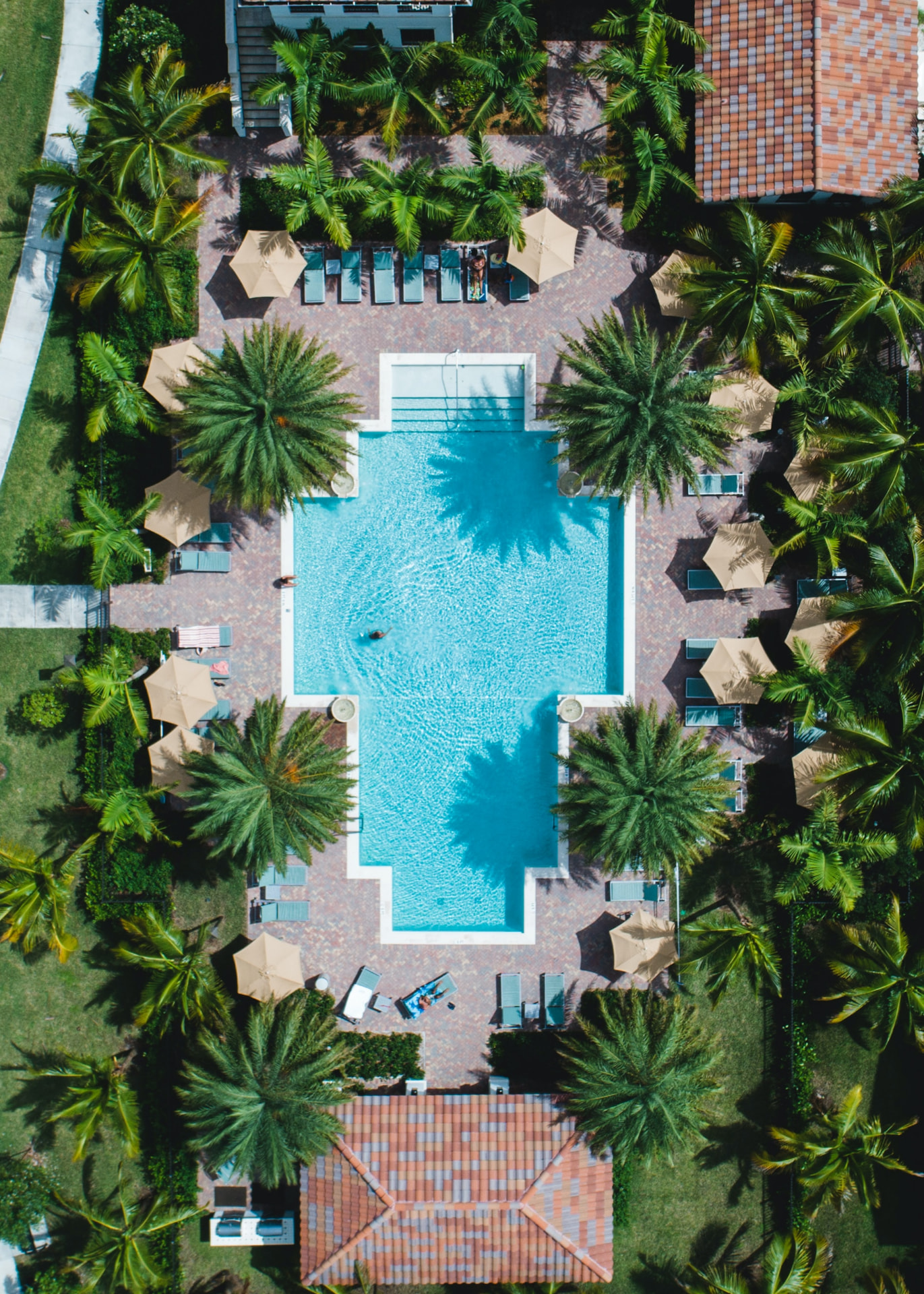 Aerial view of a resort-style pool surrounded by palms and pavers